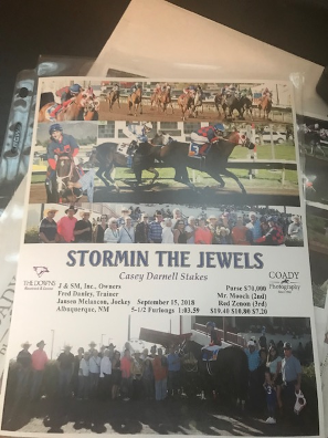 Stormin the Jewels